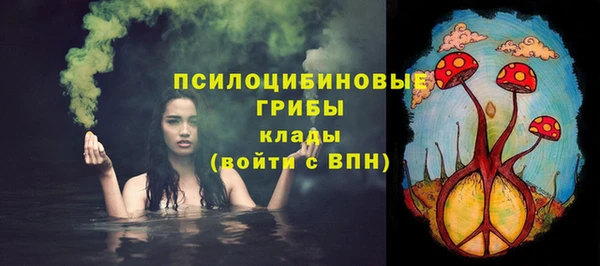 трава Аркадак