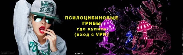 стафф Арсеньев