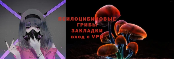 трава Аркадак
