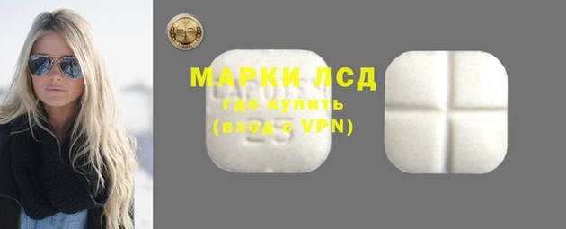 стафф Арсеньев