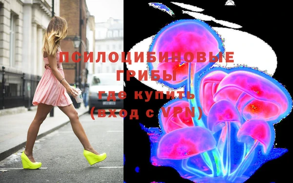 крисы Армянск