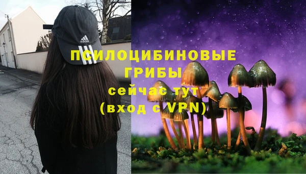 стафф Арсеньев