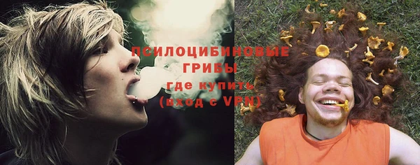 крисы Армянск