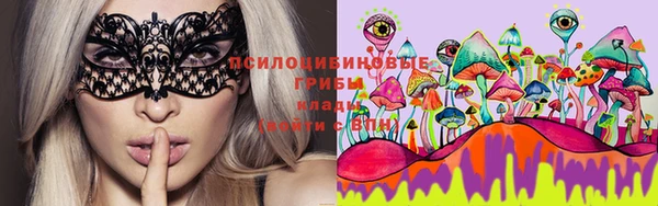 стафф Арсеньев