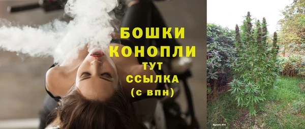 трава Аркадак