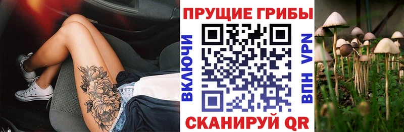 Псилоцибиновые грибы Psilocybine cubensis  дарнет шоп  Чаплыгин 